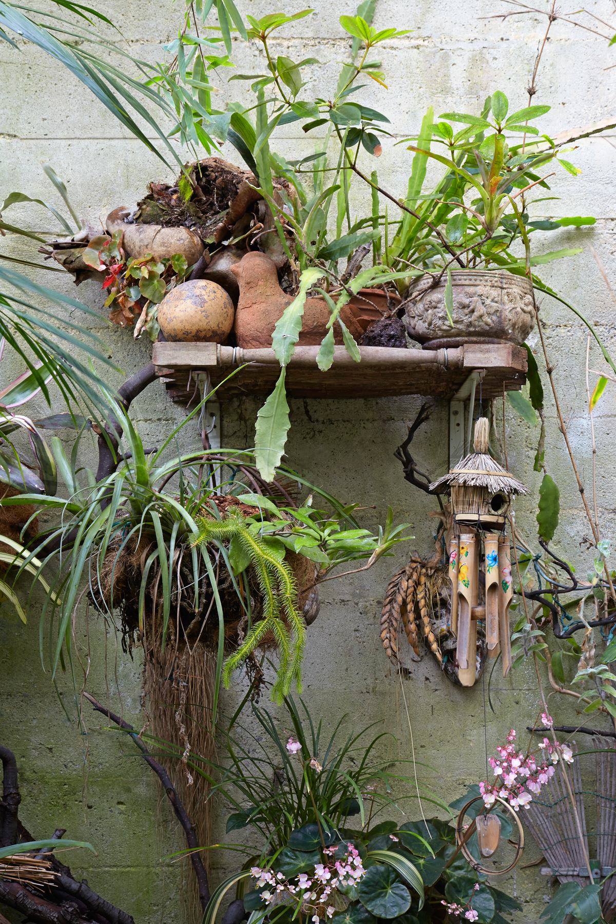 Hidden Urban Paradise: Jim Kumiega's Garden — Flora Grubb Gardens